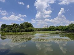 -文山荷鲜居(翠湖店)