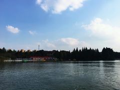 -青枫公园