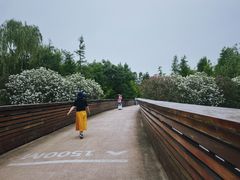 -昆山城市生态森林公园