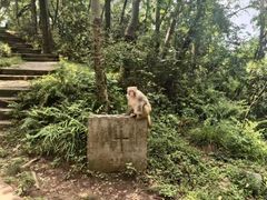 -黔灵山公园