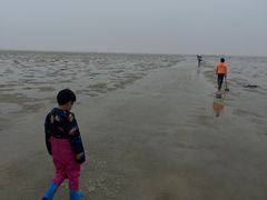 -北海金海湾红树林生态旅游区