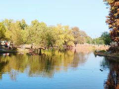 -上海共青森林公园