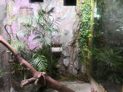 -上海大自然野生昆虫馆(东方明珠·爬宠昆虫探索中心)