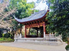 -汇龙潭