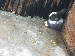 -太极禅苑