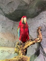 -Zoolung Zoolung动物主题公园(海信广场店)