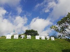 -艾米稻香小镇