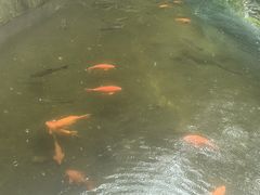 -途中饭店(开化店)