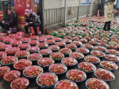 -江杨农产品批发市场