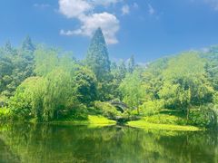 -杭州植物园