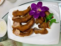 -鼎仔翅(龙湖公寓北区店)