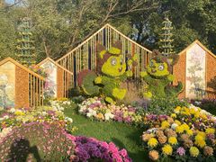 -上海共青森林公园