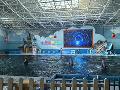 -蓬莱欧乐堡海洋极地世界