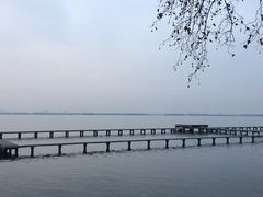 -武汉大学-樱园
