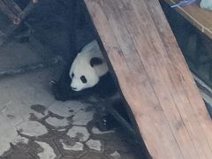 -沈阳森林动物园