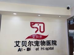 -艾贝尔宠物医院·24H转诊中心·肿瘤猫专科(江宁双龙店)