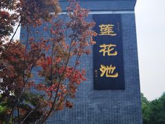 -莲花池公园