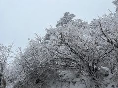 -峨眉山风景名胜区