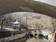 -白水寺森林公园