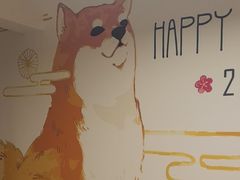 -柴迷FANS CLUB·柴犬狗咖·猫咖