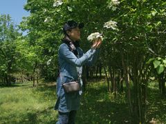 -北京植物园南门售票处