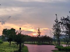 -春花秋色城市公园