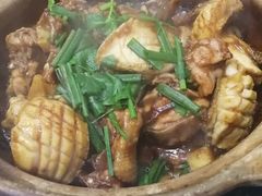 鲍螺鸡煲-金龙·打边炉(武进路店)