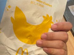 -麦当劳(保定裕华路店)