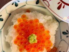 -料亭菊水楼