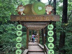 -大岭沟猕猴桃谷风景区