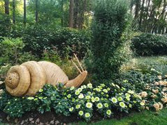 -上海共青森林公园