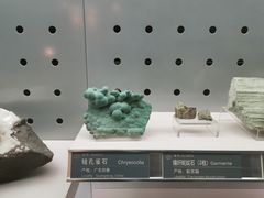 -中国地质博物馆