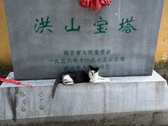 -宝通禅寺