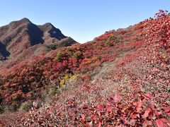 -水峪民俗村