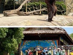 -常州淹城野生动物世界