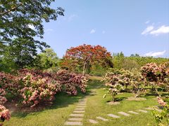 -中国科学院西双版纳热带植物园