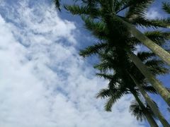 -侯臣咖啡文化村