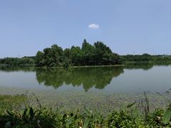 -东湖落雁景区