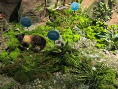 -湖南省地质博物馆