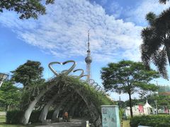 -文华公园(禅城区)