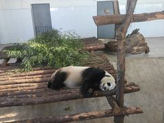 -西安秦岭野生动物园