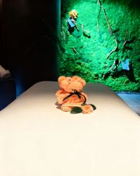 -VELEE·SPA高定疗愈会所