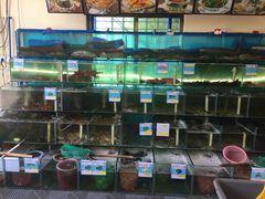 水产区-琼大师东方烤乳猪(亚特兰蒂斯店)