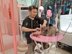 -FAELING PETS美天灵宠物(合生汇店)