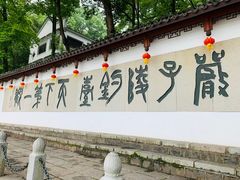 -严子陵钓台(富春江小三峡)