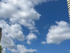 -芸鲜季·云南野生菌餐厅· 云南风物味研社(闵行店)