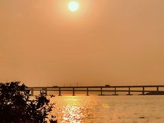 -宝安西湾红树林湿地公园