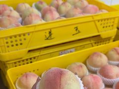 -老袁家蜜桃农场·阳山水蜜桃