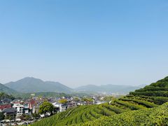 -龙坞茶村