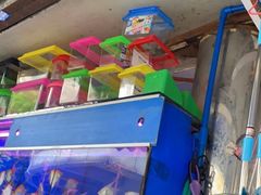 -清平路水族市场